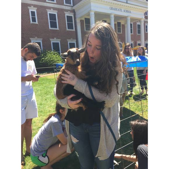 Meet your Posher, Kirstin - Picture 1 of 1